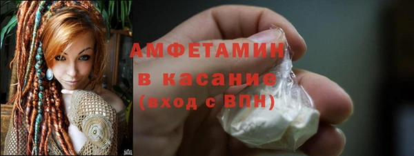гашик Осинники