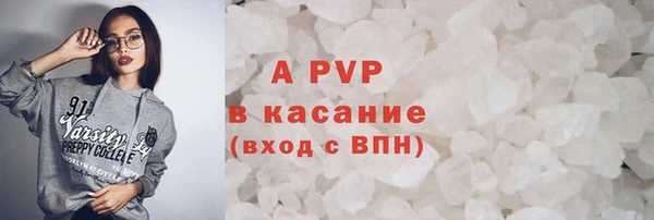 гашик Осинники